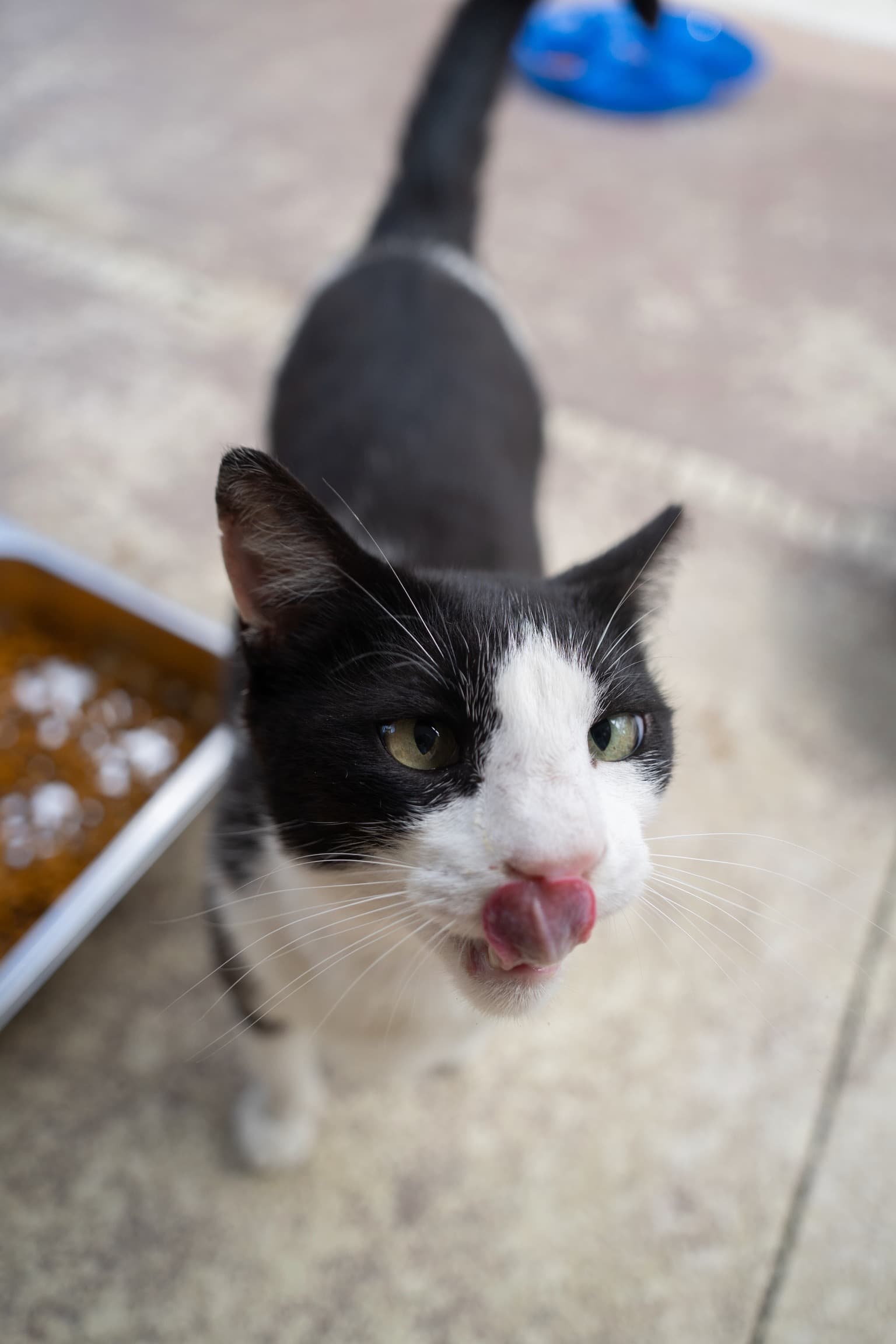 Benny