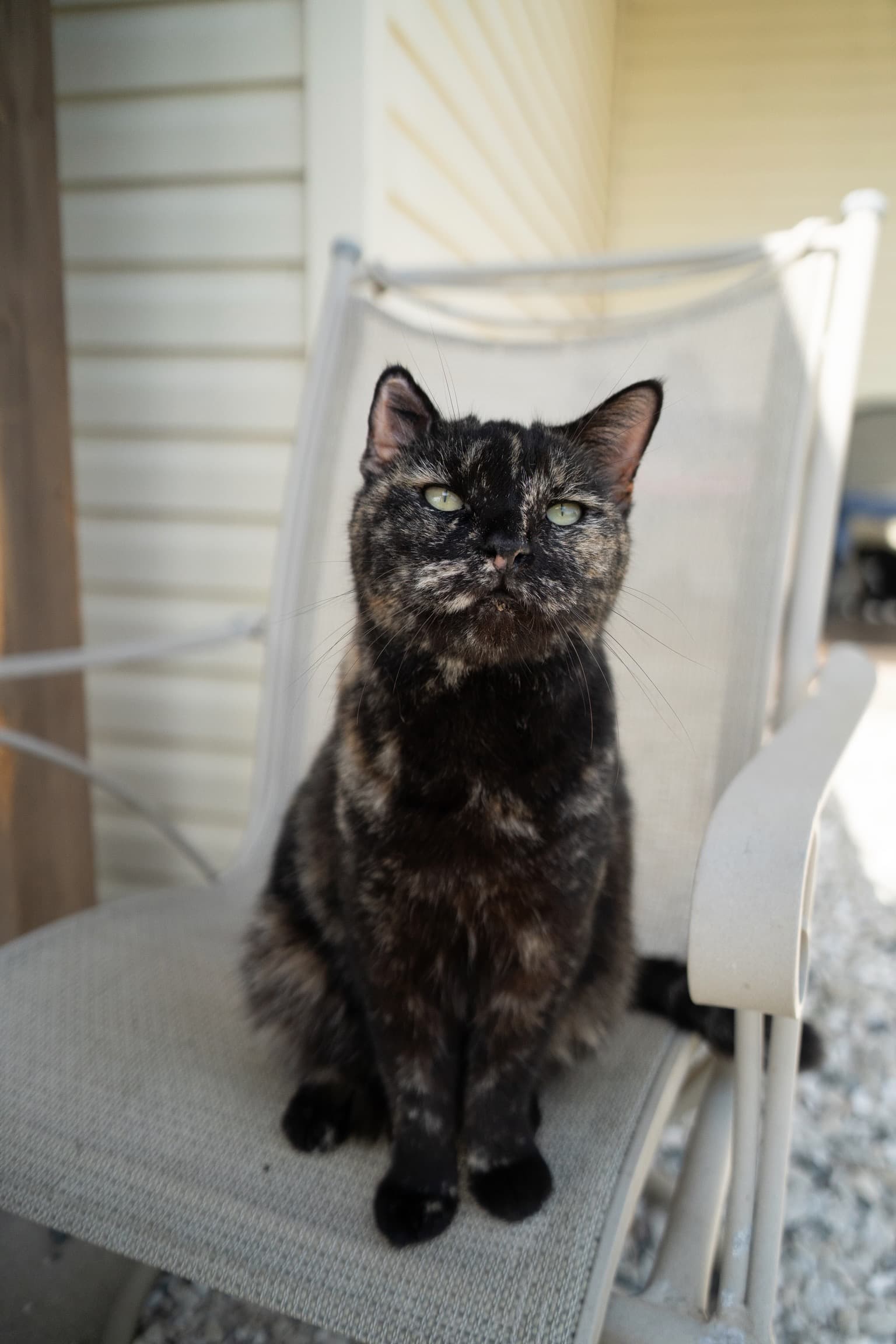 Luna
