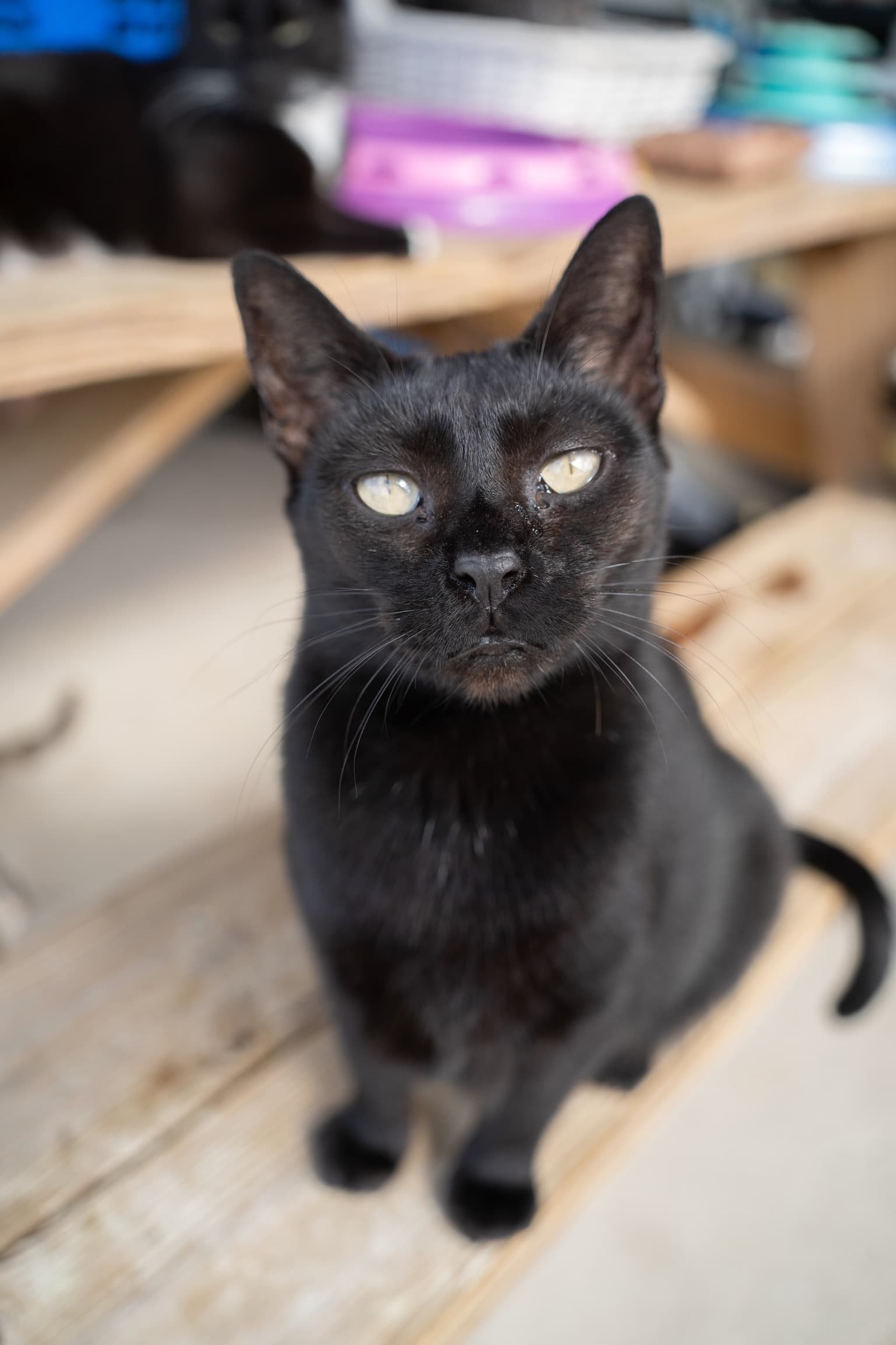 Mommy